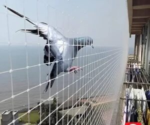 balcony pigeon net installation service in Surat bird netting JK