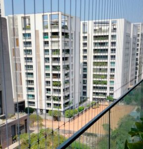 igeon Bird Net Surat