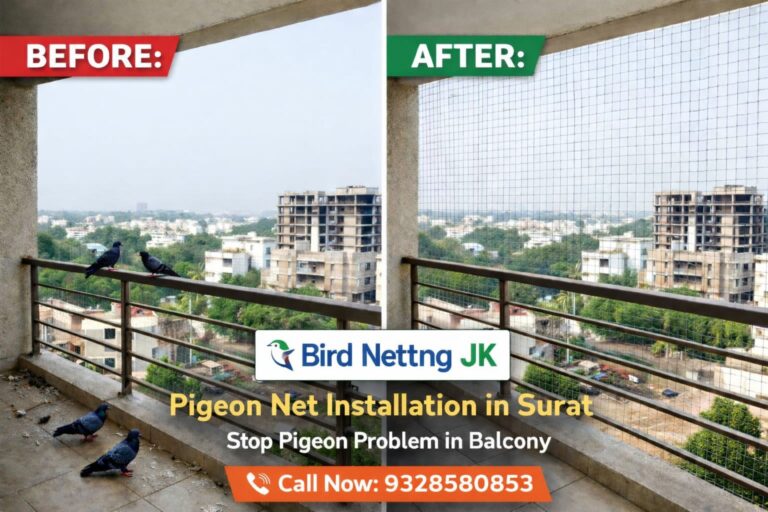 pigeon net for balcony installation in Surat by Bird Netting JK balcony bird net service pigeon safety net Surat