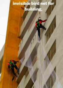 WhatsApp Image 2025-08-08 at 04.17.51_d72ceff6